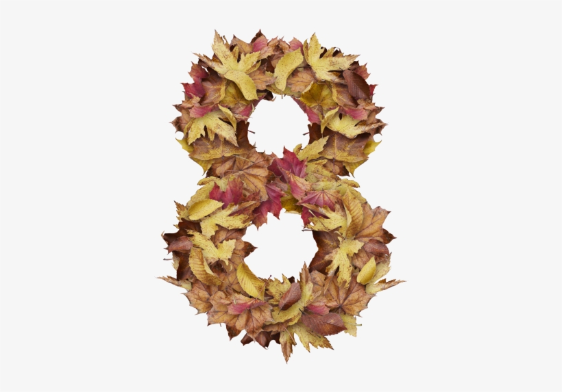 8 Number With Dry Leaves - Portable Network Graphics, transparent png #5146056