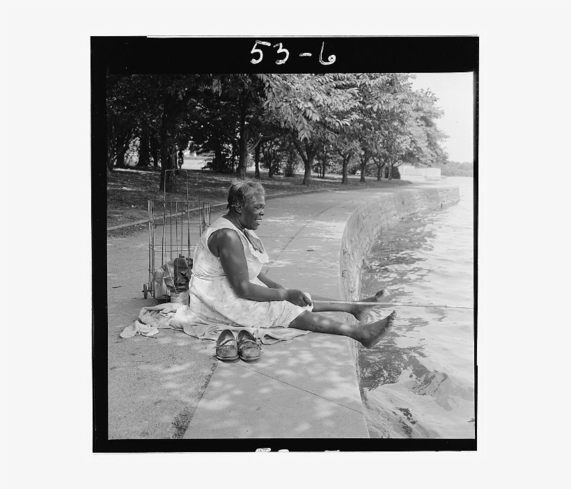 Check It Out And Let Me Know What Yall Think - Tidal Basin Washington Dc, transparent png #5146283