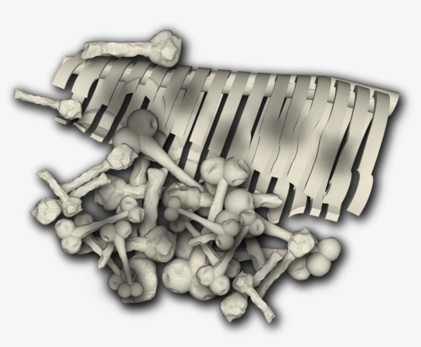Bonepile-4e - Dundjinni Bones, transparent png #5148371