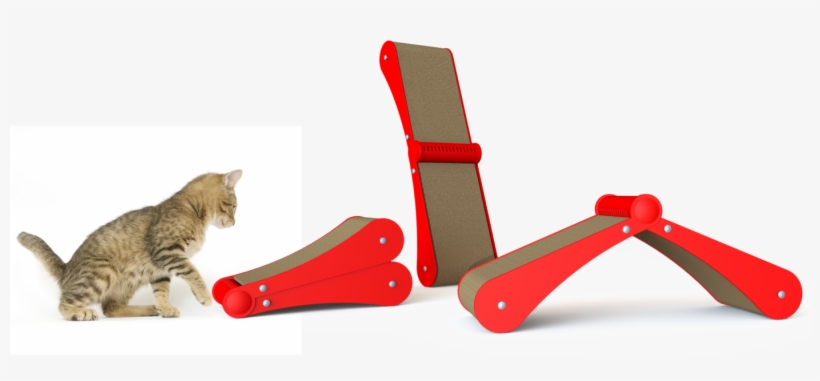 Super Scratch Deck - Tabby Cat, transparent png #5149006