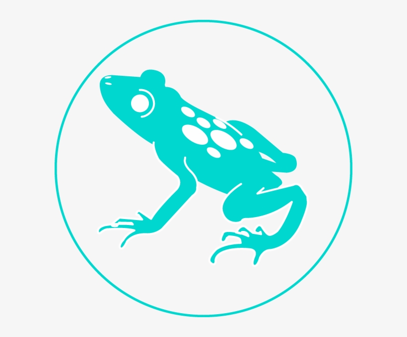 Blue Poison Frog - Phyllobates - Free Transparent PNG Download - PNGkey