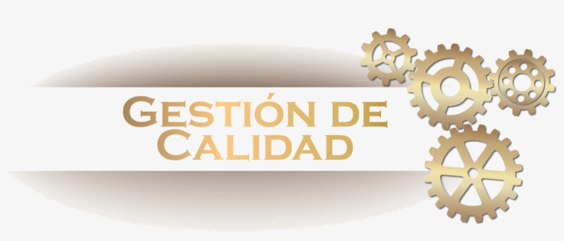Gestion De Calidad - Floral Design, transparent png #5152356