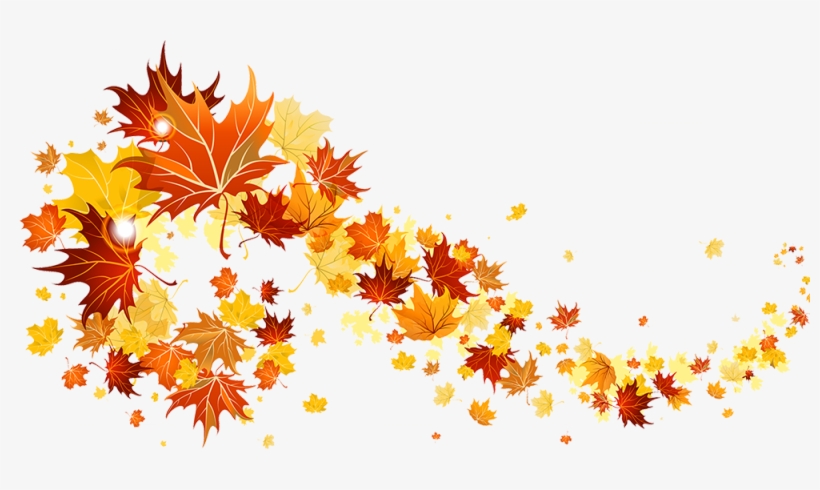 Fall Leaves Image - Fall Leaves Clipart Transparent Background, transparent png #5152809