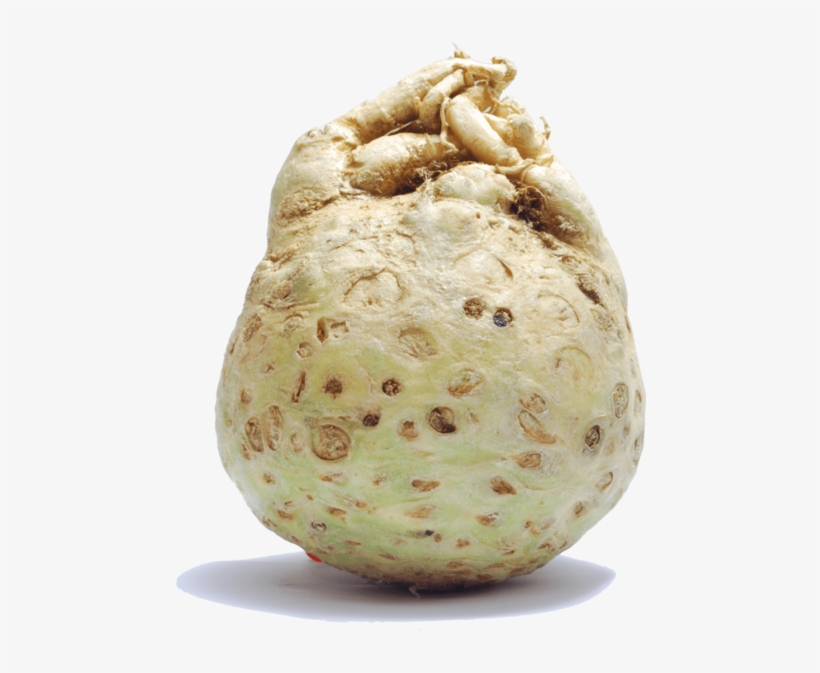 Celeriac - Cherimoya, transparent png #5154112