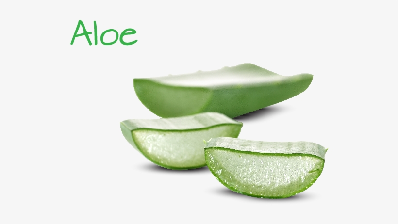 Ingredient Image Template 03 03 - Aloe Sllimming, transparent png #5154217