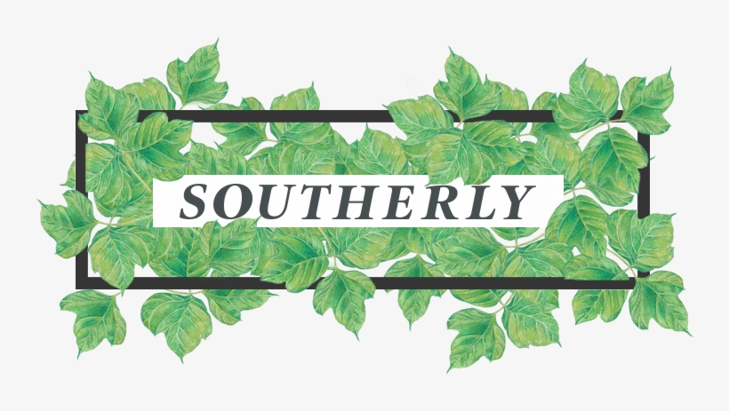 Ecology Justice Culture In The American South - Infrastructure, transparent png #5154818