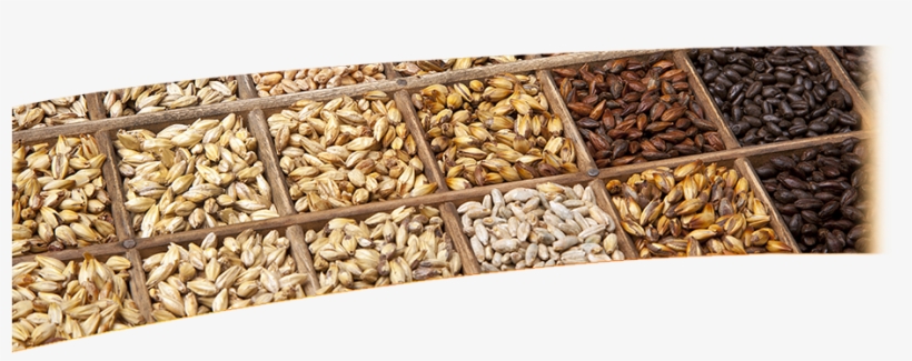 Superior Malts & Ingredients For The Food And Brewing - Brew Malt, transparent png #5155099