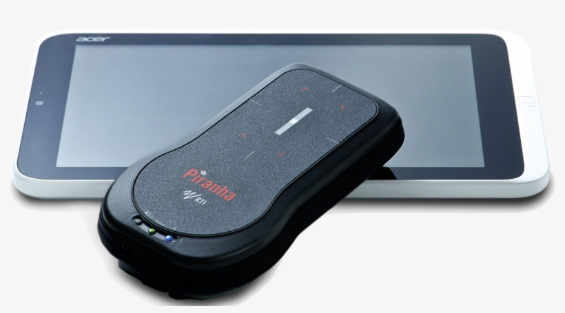 Redeye Piranha, transparent png #5155623