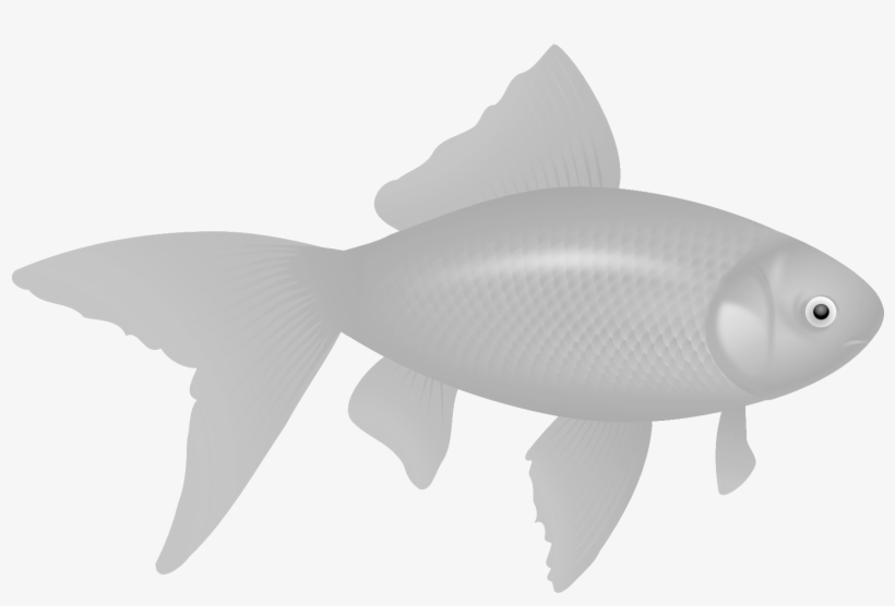Download - Goldfish Silhouette Shower Curtain, transparent png #5156798