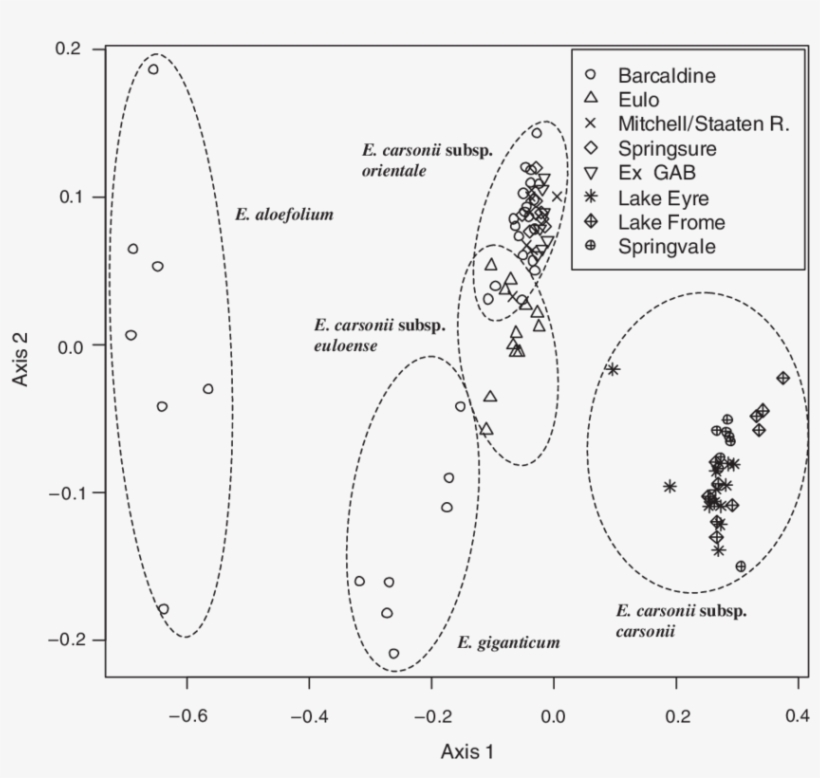 Nmds Ordination Of Morphometric Data Relating To Eriocaulon - Diagram, transparent png #5158647