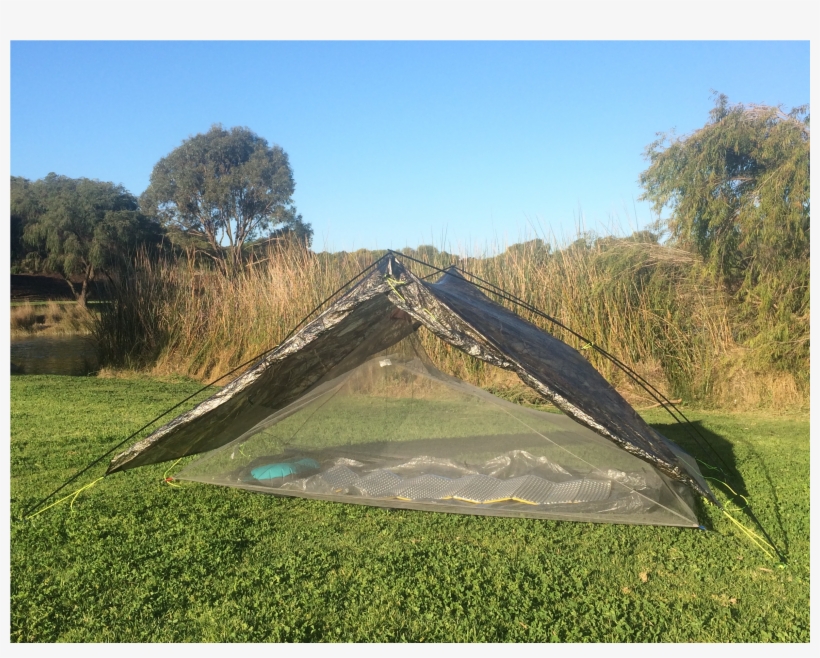 Grass, transparent png #5158999