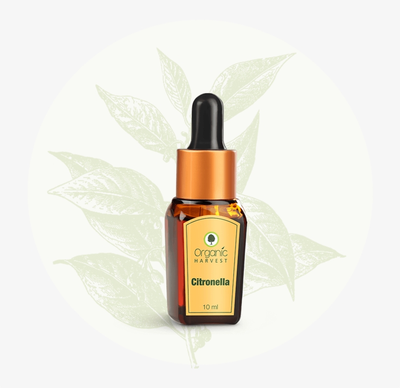 Citronella Essential Oil - Organic Harvest Orange Essential Oil 10ml, transparent png #5159992