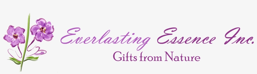 'ceramic' Essential Oil Bottle Necklace Everlasting - Shopping, transparent png #5160245