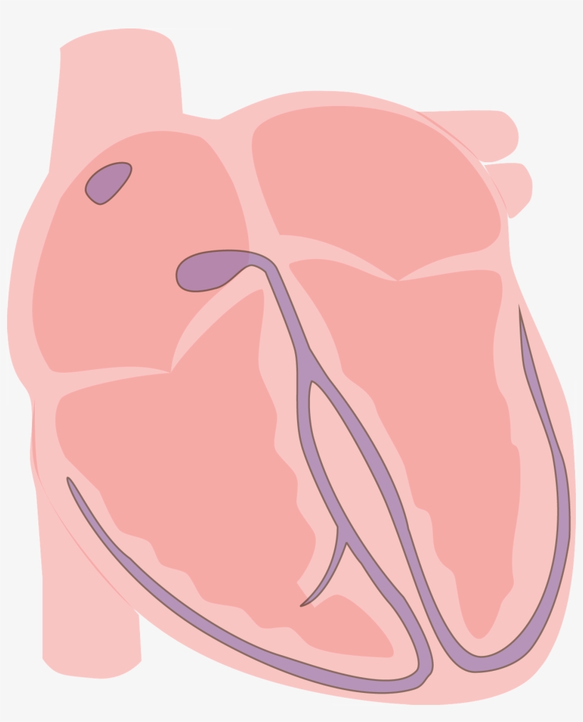Heart Vector Electrical Rest - Heart Cartoon Electrical, transparent png #5160789