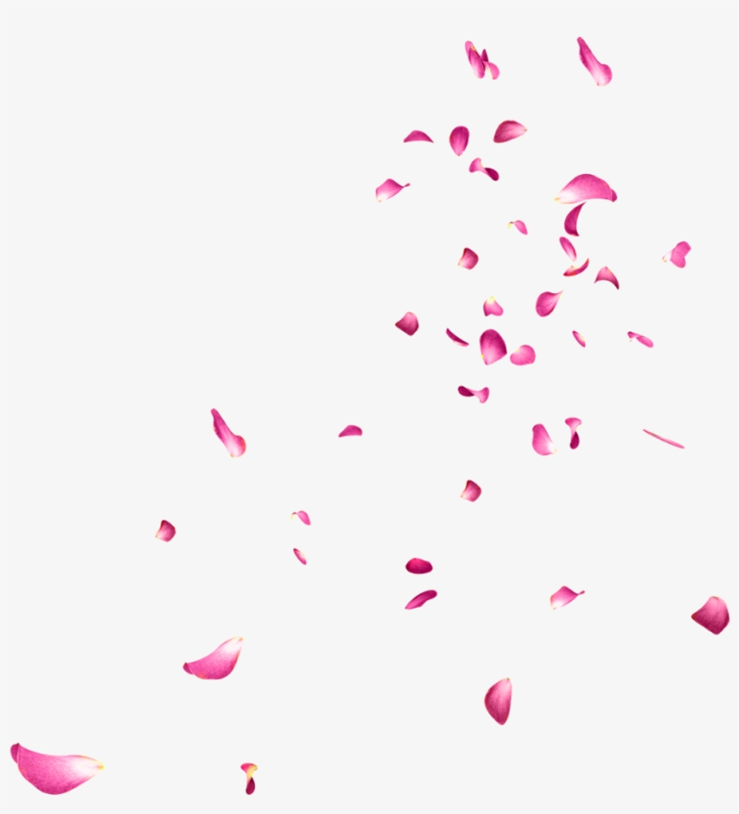 Falling Rose Petals Png Picture - Flower Images Editing, transparent png #5167170