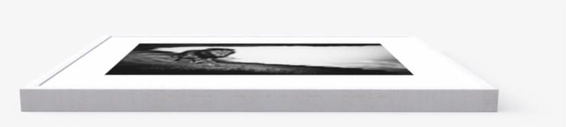 Photo Free Lion In The Wild - Bed Frame, transparent png #5168008