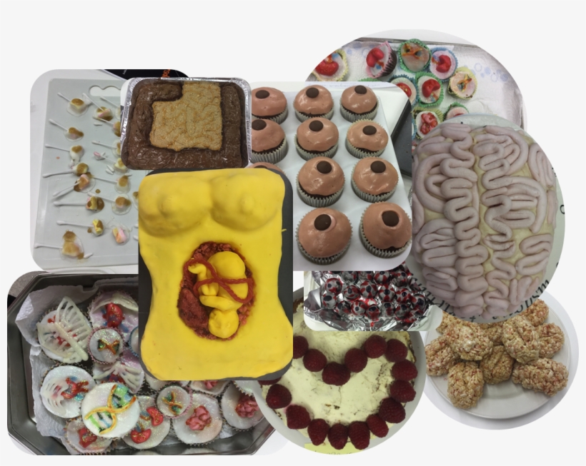 0 Replies 4 Retweets 4 Likes - Pignolo, transparent png #5168686