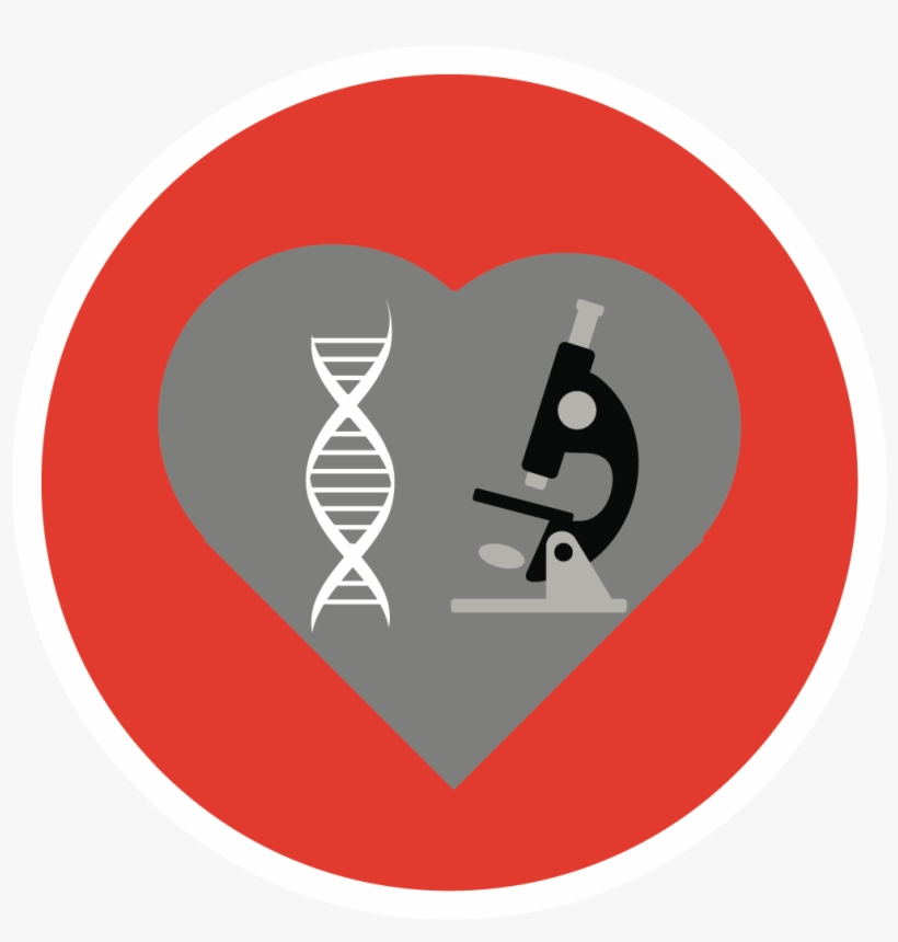 Health Sciences Academy Icon - Graphic Design, transparent png #5168888