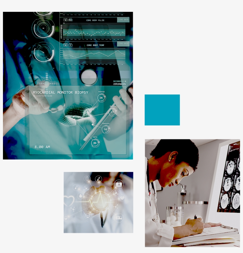 Matt Hickey Ceo - Result, transparent png #5168890