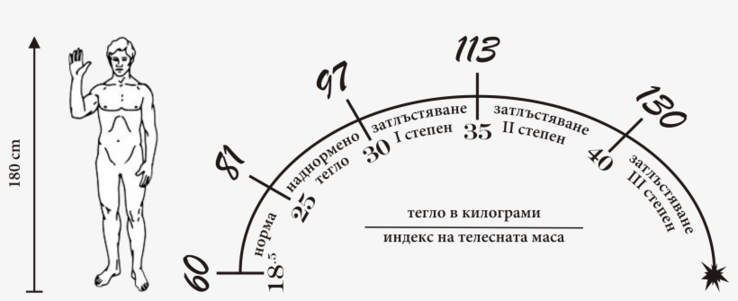 Bmi 180 Cm Height - Diagram, transparent png #5169119