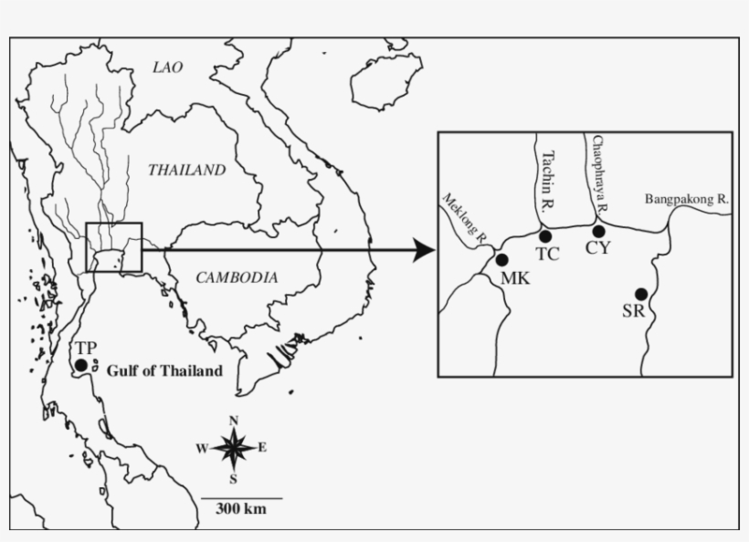 A Map Of The Gulf Of Thailand Showing Sampling Locations - Thailand Map Black And White, transparent png #5169391