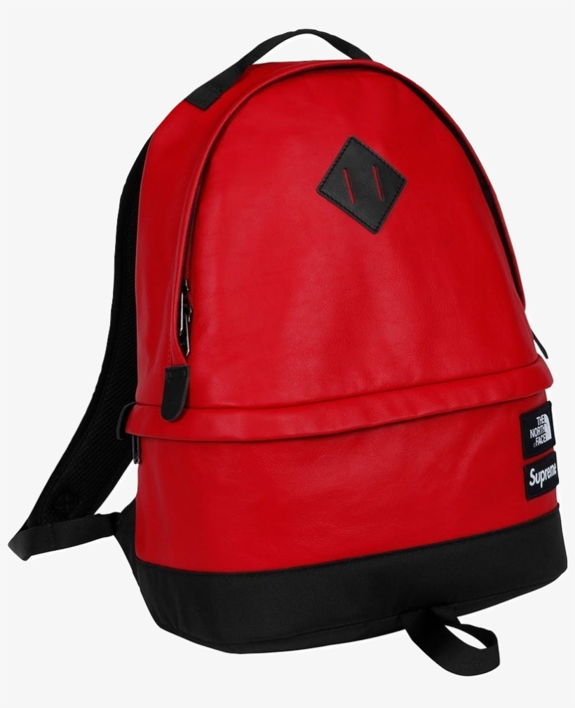 supreme north face leather backpack