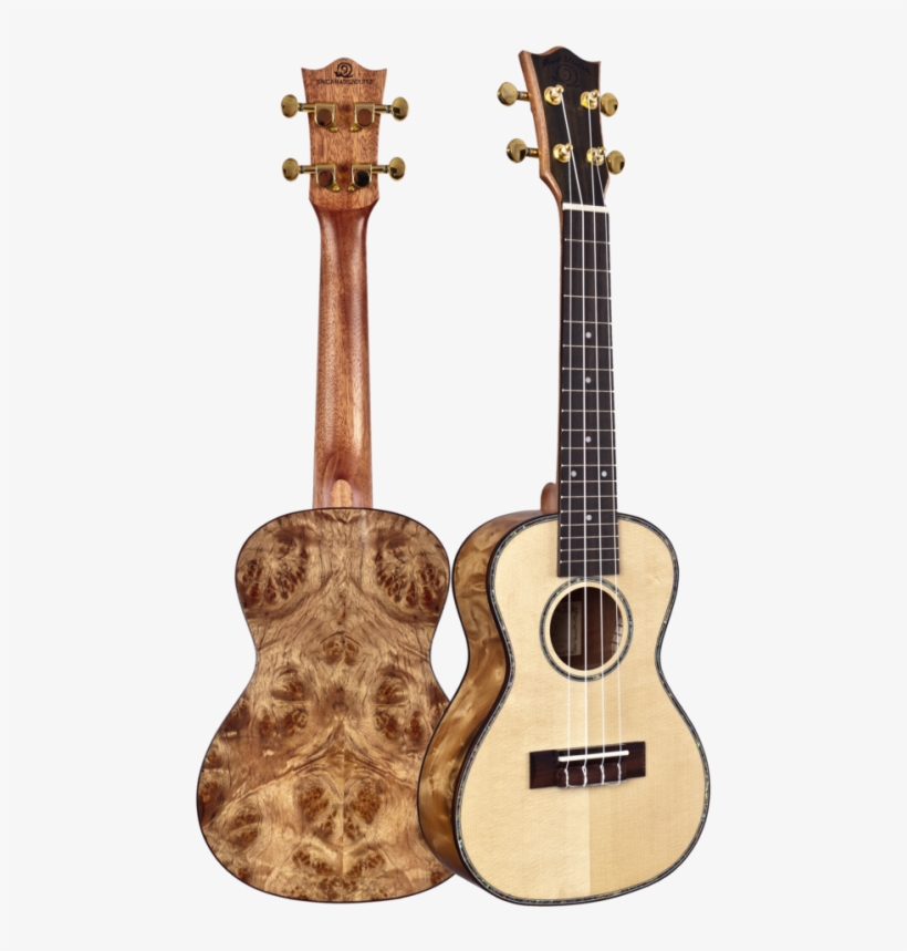 Snail Camphor Burl Ukulele - Burl Wood Ukulele, transparent png #5171183