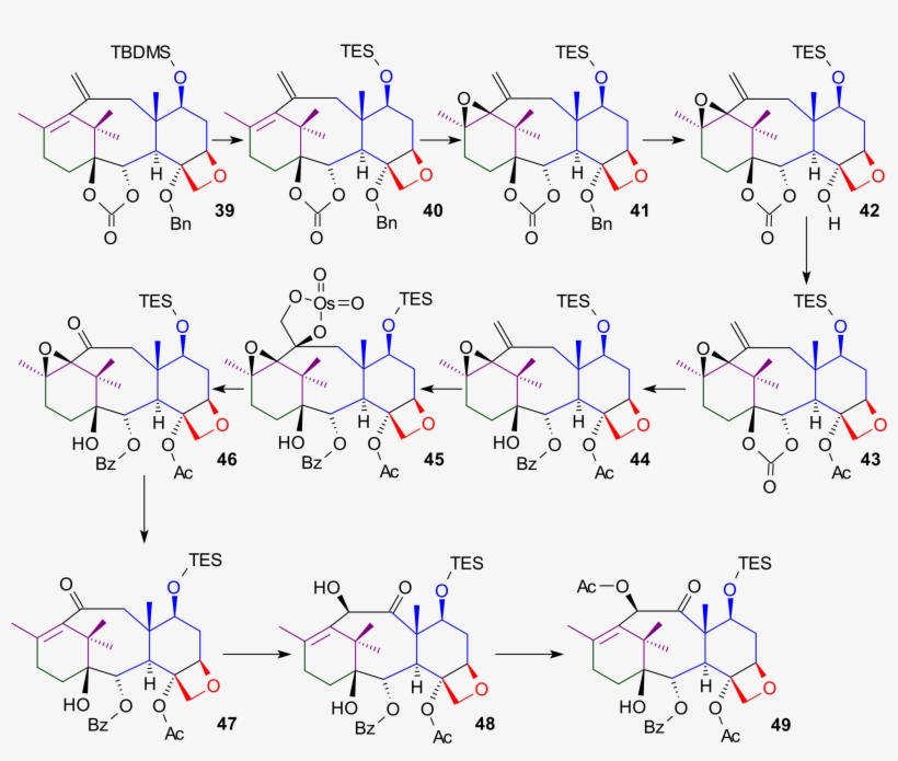 Open - Taxol Synthesis, transparent png #5173190