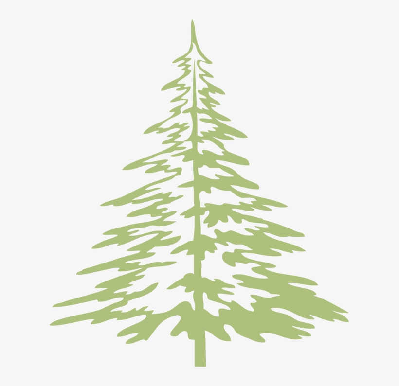 West Slope Library Green Tree - West Slope, transparent png #5174605