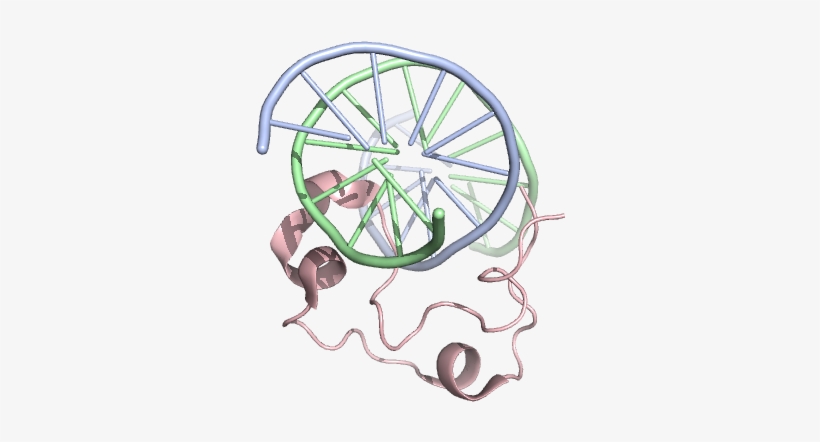 4z3c - Illustration, transparent png #5174927