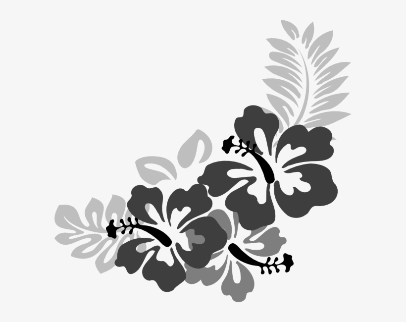 Hibiscus Black And White, transparent png #5176052