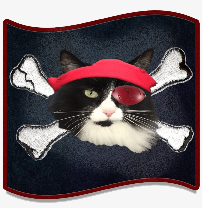 Catnip & Dog Biscuits - Pirate Tales By Richard Stephens 9781482343908 (paperback), transparent png #5176359