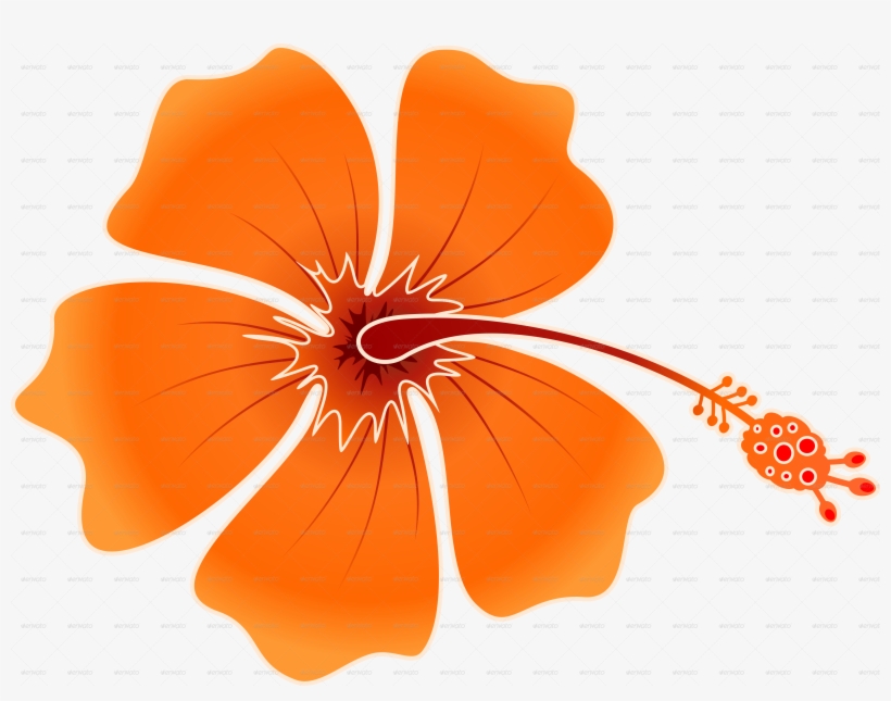 Png Hibiscus Flowers Patterns Picture Free Library - Orange Hawaiian Flower Png, transparent png #5176364