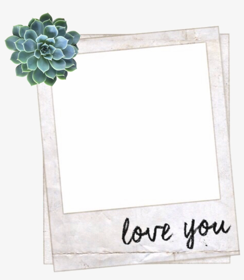Frame Aesthetic Tumblr Polyvore Succulent - Overlays For Edits, transparent png #5176601