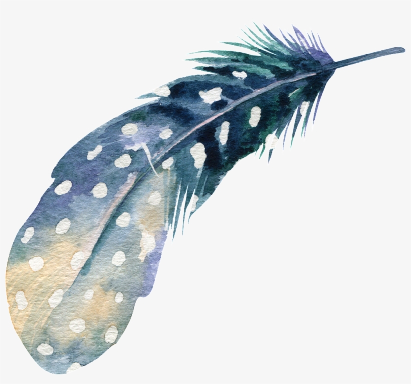 Png De Ornamentação Transparente Para As Plumas De - Elegant Background Full Colour, transparent png #5176916