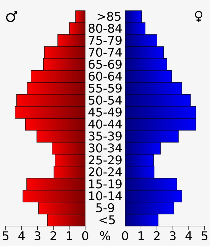 Open - Population Pyramid Of Palm Beach County, transparent png #5176972