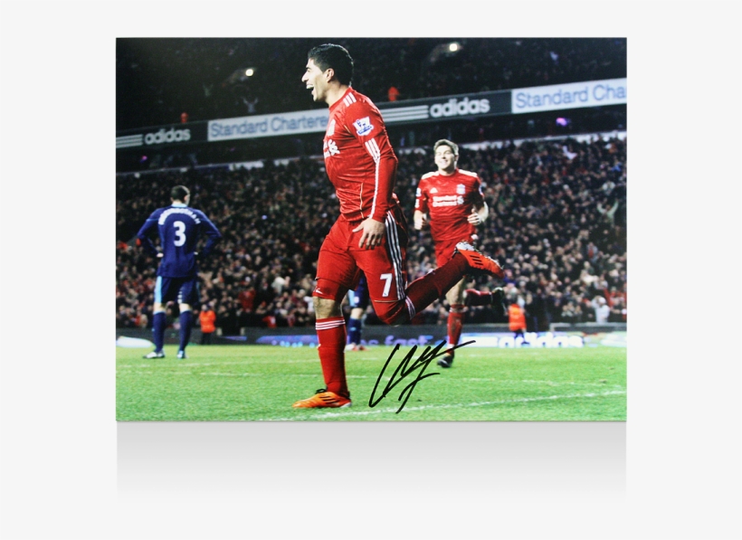 Luis Suarez Liverpool, transparent png #5177778