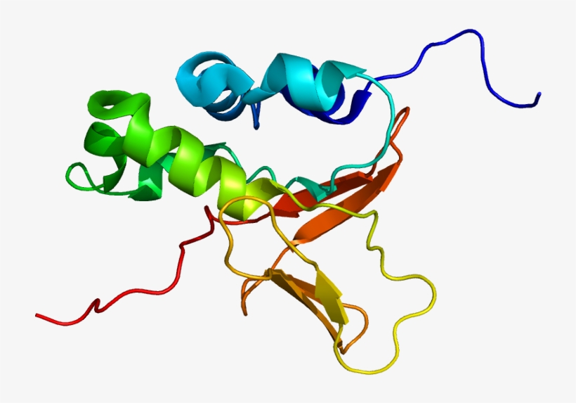Protein Tgfbi Pdb 1x3b - Tgfbi, transparent png #5178709
