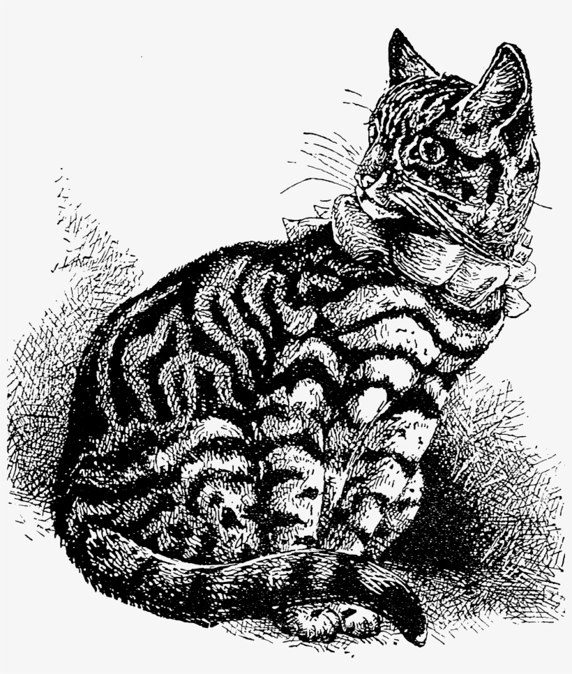 2155 Cat Free Vintage Clip Art, transparent png #5179559