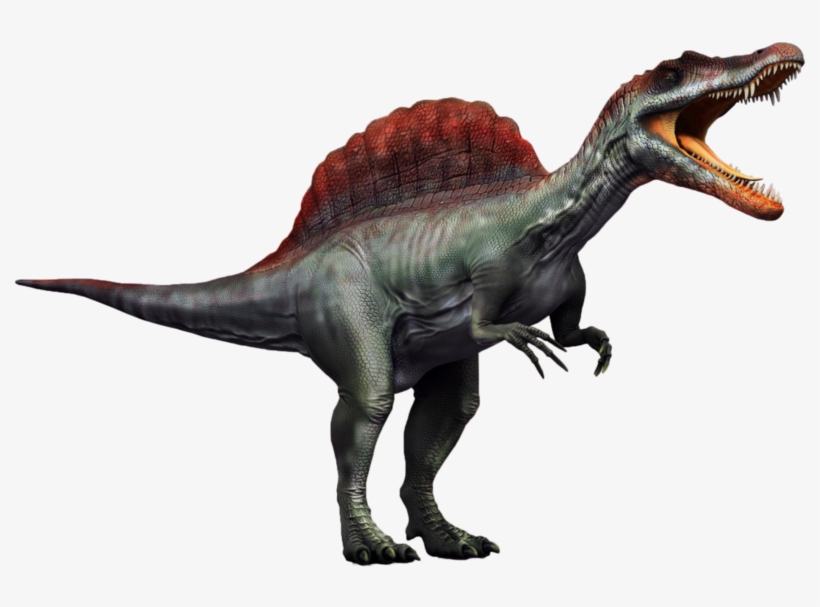 Spinosaurus Png Transparent Picture - Spinosaurus Dinosaur Transparent Background, transparent png #5180167