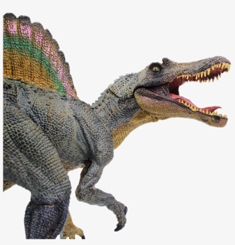 Dinosaur, transparent png #5180371