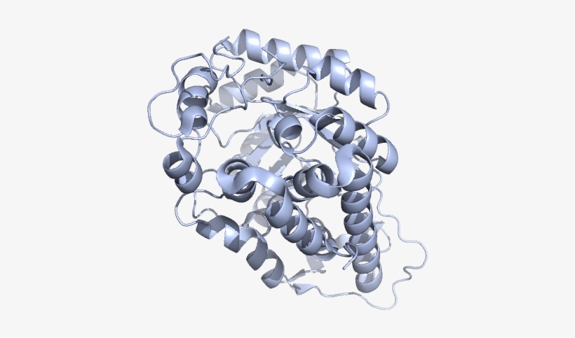 Bead, transparent png #5180475