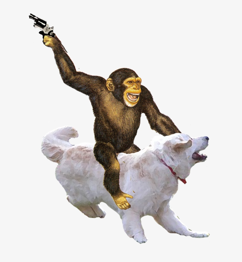 Money Riding Dog With Gun - Chimpanzee Clip Art, transparent png #5180594