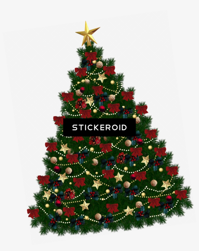 Christmas Tree Holidays, transparent png #5180968