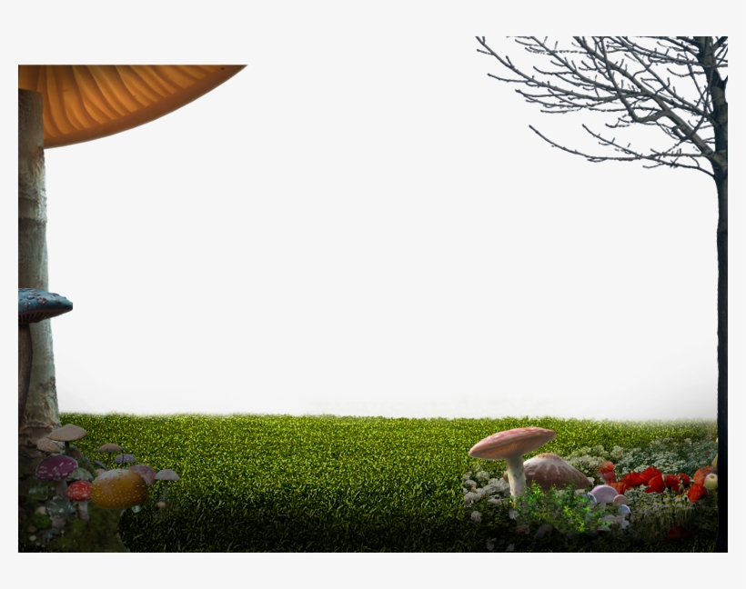 Fg 01 - Grass, transparent png #5181085