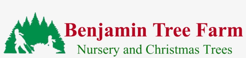 Benjamin Tree Farm - Father Christmas And The Missing Magic Sack., transparent png #5181538