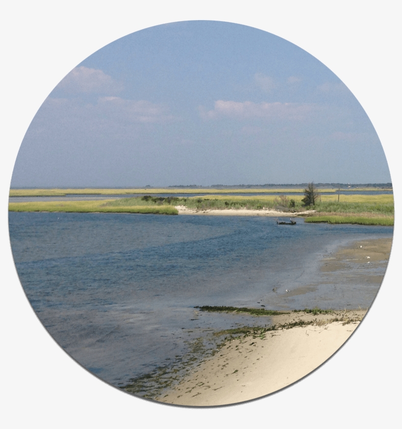 Forked River Nj - New Jersey, transparent png #5183676