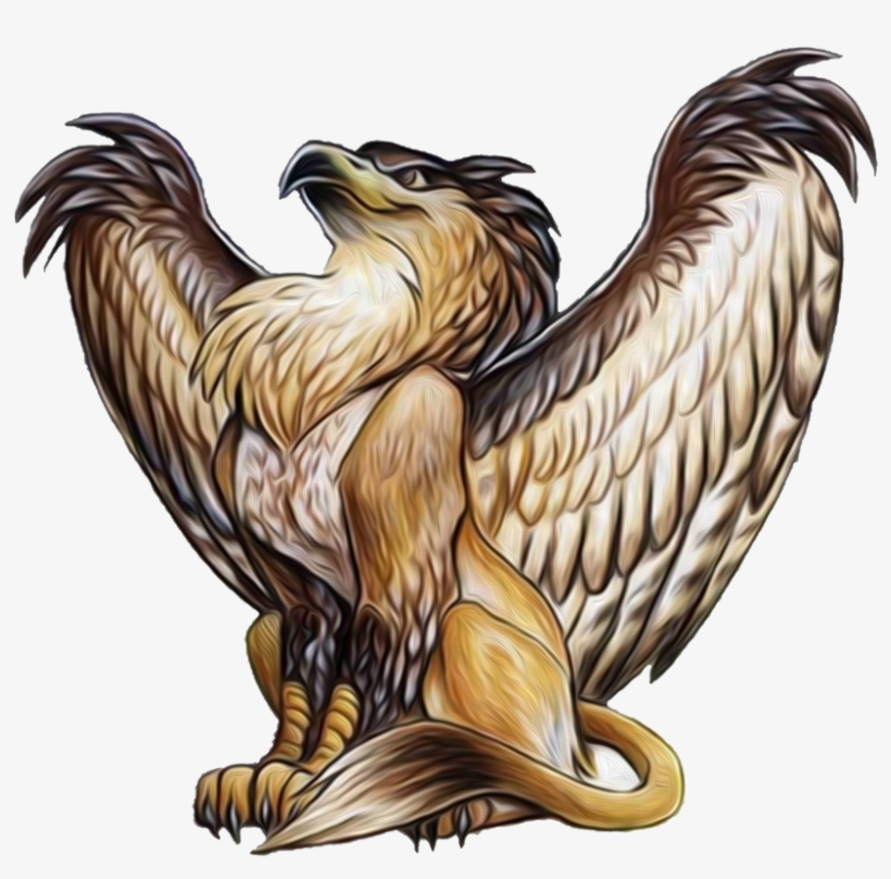 Why Gryphon - Griffin Bird, transparent png #5183919