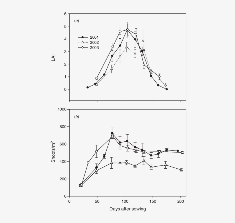The Course Of Leaf Area Index (lai) Of Wheat And (b) - Mean, transparent png #5184879