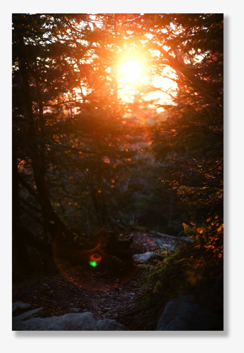 Trailghost Format=1000w, transparent png #5185342